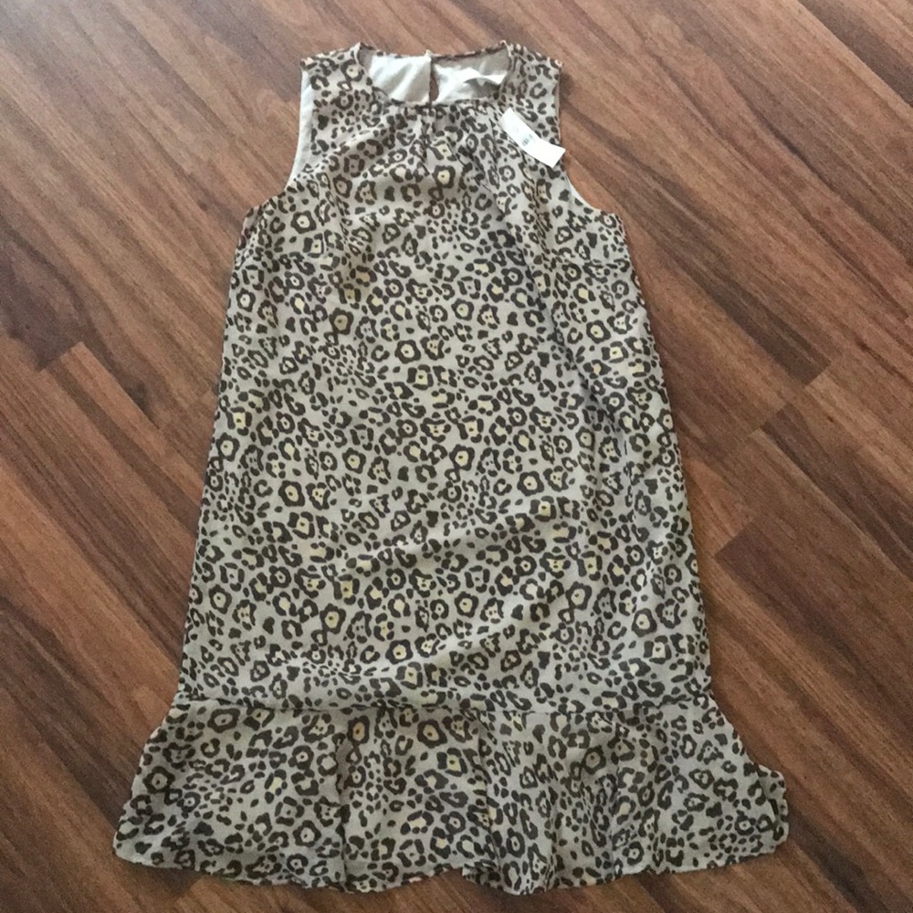 NEW Ann Taylor Loft Swing Dress